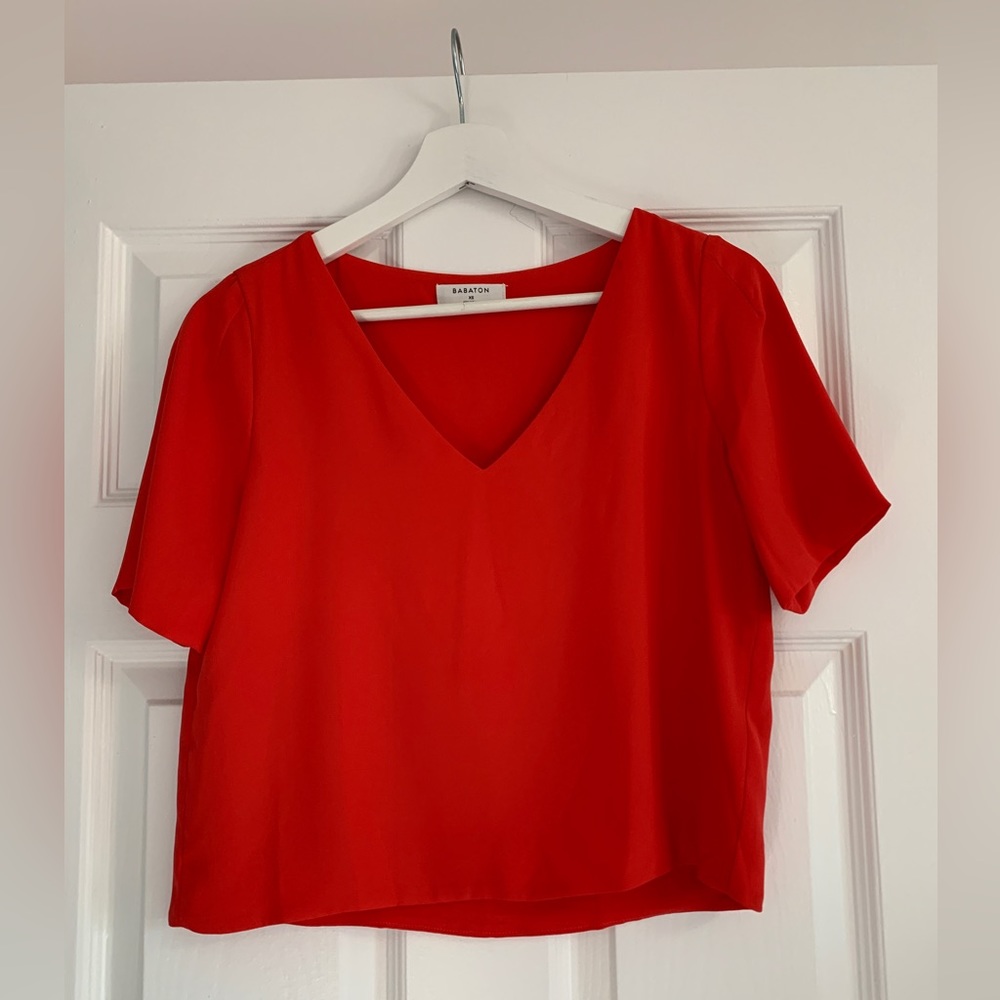 Aritzia Babaton Randy Blouse